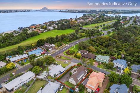 Photo of property in 6 Avocet Avenue, Maungatapu, Tauranga, 3112