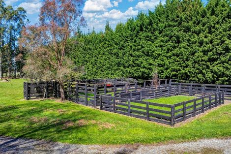 Photo of property in 2469 Tram Road, West Eyreton, Rangiora, 7475