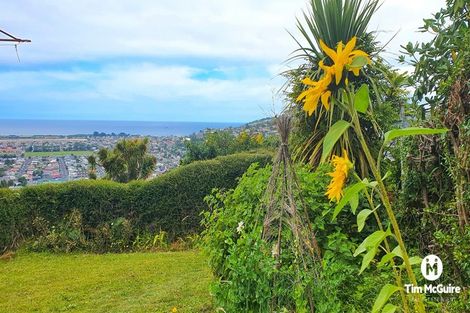 Photo of property in 139 Forfar Street, Clyde Hill, Dunedin, 9011