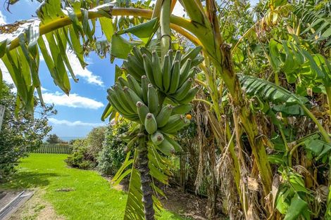 Photo of property in 107 Howard Road, Orere Point, Papakura, 2585