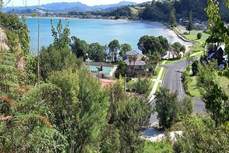 Photo of property in 192 Buffalo Beach Sh25 Road, Whitianga, 3592