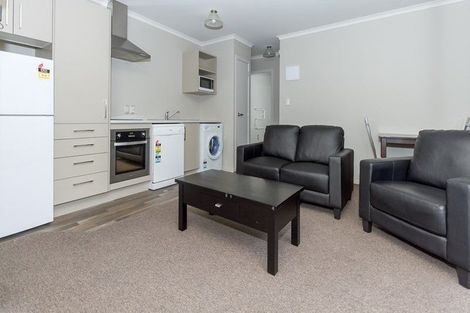 Photo of property in 62 Willoughby Street, Whitiora, Hamilton, 3200