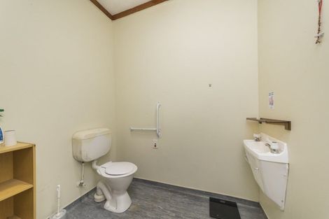 Photo of property in 22 Palm Avenue, Hokowhitu, Palmerston North, 4410