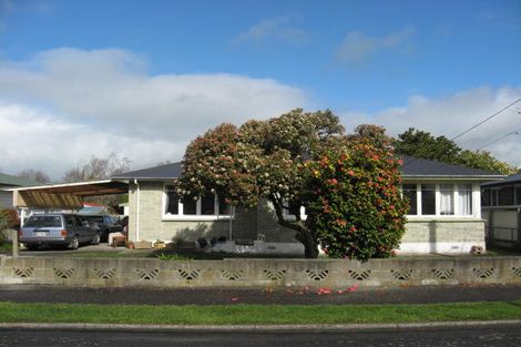 Photo of property in 53 Intermediate Street, Solway, Masterton, 5810