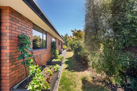 Photo of property in 43 Anglesea Street, Renwick, 7204