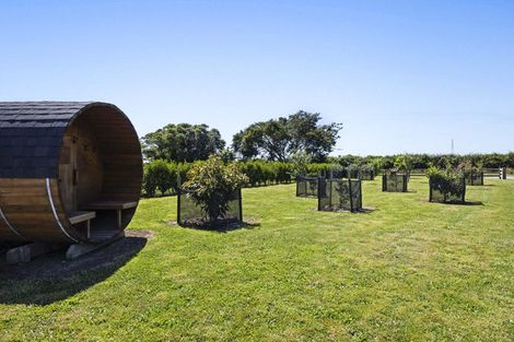 Photo of property in 8 Tikorangi Road East, Tikorangi, 4383