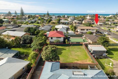 Photo of property in 39a Crane Street, Mount Maunganui, 3116