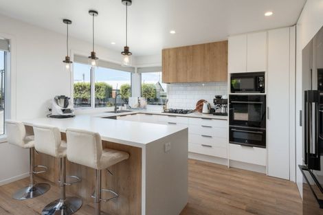 Photo of property in 9 Eva Crescent, Witherlea, Blenheim, 7201