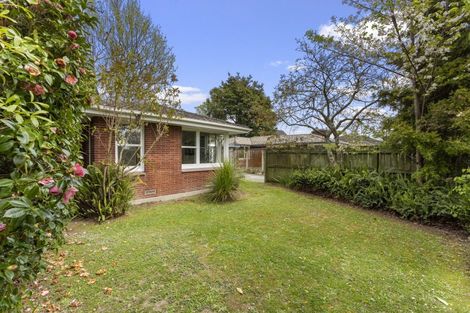 Photo of property in 252a Victoria Avenue, Hokowhitu, Palmerston North, 4410