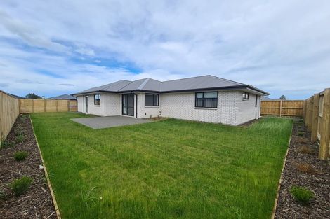 Photo of property in 12 Nathaniel Archer Street, Woodend, 7610