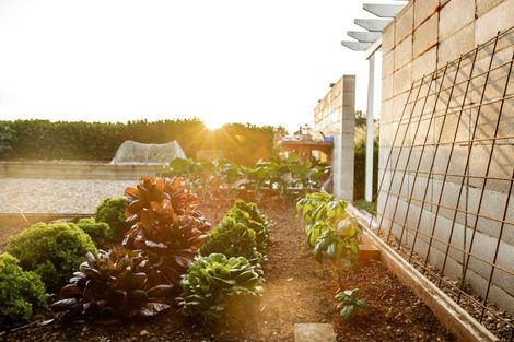 Photo of property in 232 Woodside Road, Matangi, Hamilton, 3284