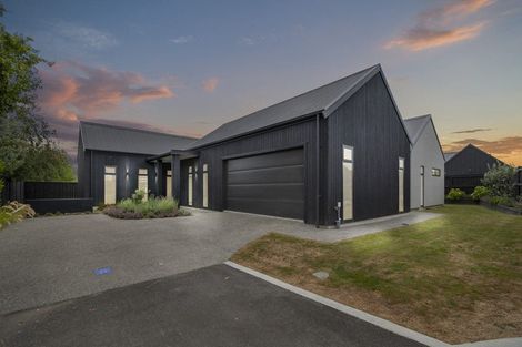 Photo of property in 161 Pharazyn Street, Feilding, 4702