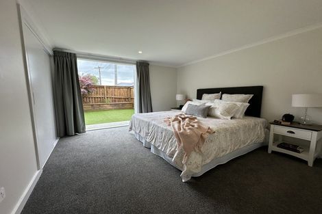 Photo of property in 161 Rimu Street, Maeroa, Hamilton, 3200