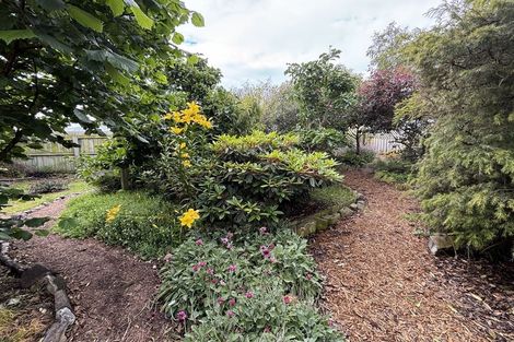 Photo of property in 16 Fell Street, Waikouaiti, 9510