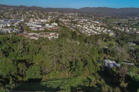 Photo of property in 103 Rangeview Road, Sunnyvale, Auckland, 0612