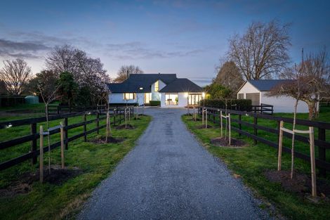 Photo of property in 346 Bruntwood Road, Matangi, Cambridge, 3493