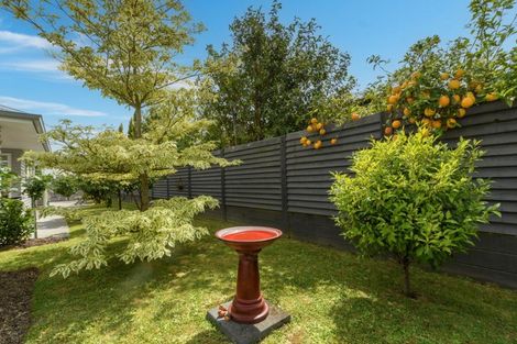 Photo of property in 16 Saint Michaels Avenue, Bethlehem, Tauranga, 3110
