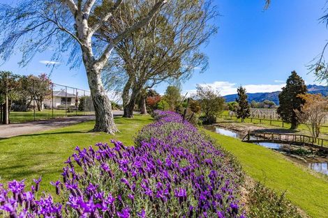 Photo of property in 189 Selmes Road, Rapaura, Blenheim, 7273