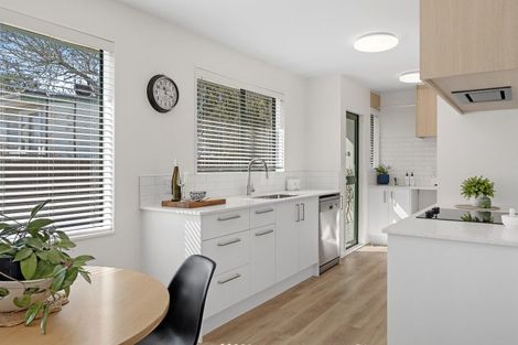 Photo of property in 48b Frankleigh Street, Somerfield, Christchurch, 8024