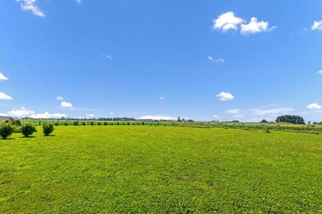 Photo of property in 858d Rangiotu Road, Rangiotu, Palmerston North, 4477