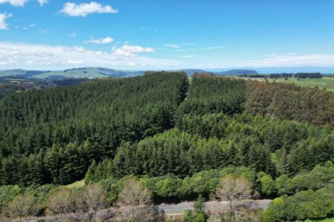 Photo of property in 1401 Whangamata Road, Marotiri, Taupo, 3377