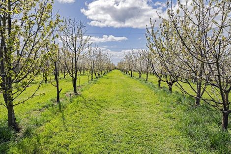 Photo of property in 1520 Tram Road, Swannanoa, Rangiora, 7475