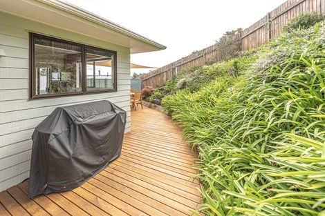 Photo of property in 68 Treadwell Street, Springvale, Whanganui, 4501