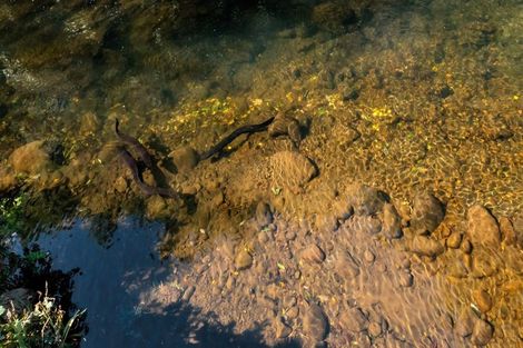 Photo of property in 1760 Mountain Road, Inglewood, 4386