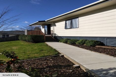 Photo of property in 55 Awaiti Place, Hairini, Tauranga, 3112