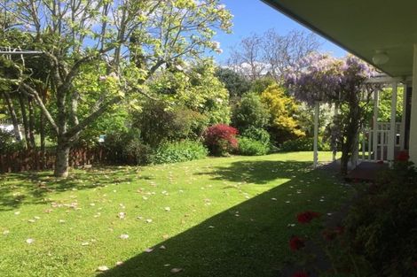 Photo of property in 28b Porangahau Road, Waipukurau, 4200