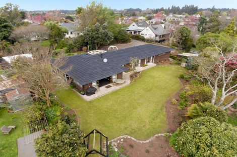 Photo of property in 137 Boucher Avenue, Te Puke, 3119