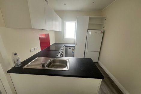 Photo of property in 217 Aro Street, Aro Valley, Wellington, 6021