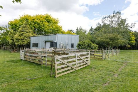 Photo of property in 148 Tipapakuku Road, Dannevirke, 4930