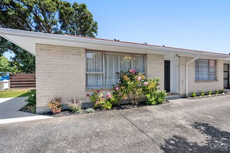 Photo of property in 19 Bloomfield Terrace, Hutt Central, Lower Hutt, 5010