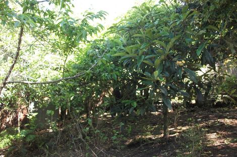 Photo of property in 5 Ratcliff Road, Ngakawau, 7824