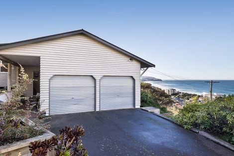 Photo of property in 46b Norfolk Street, Saint Clair, Dunedin, 9012
