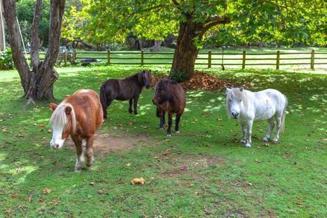 Photo of property in 877 Tiki Quarry Road, Preece Point, Coromandel, 3581