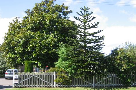 Photo of property in 21 Matipo Street, Taupo, 3330