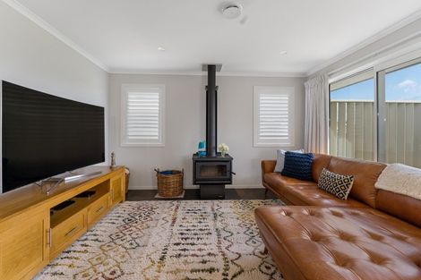 Photo of property in 15 Florence Street, Richmond, 7020