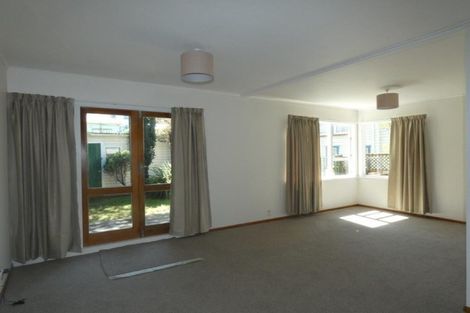 Photo of property in 117 Aro Street, Aro Valley, Wellington, 6021