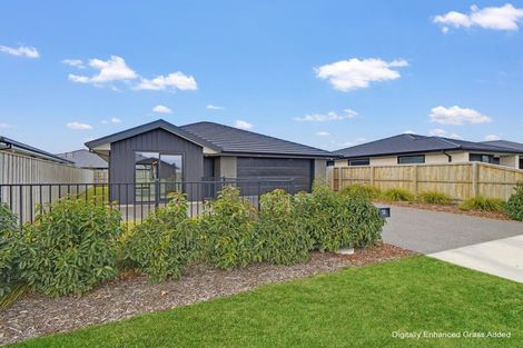 Photo of property in 38 Crossley Avenue, Woodend, 7610
