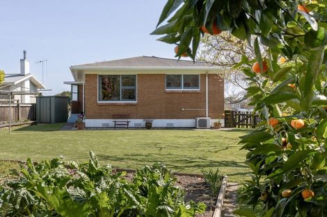 Photo of property in 8 Eleanor Place, Whakatane, 3120