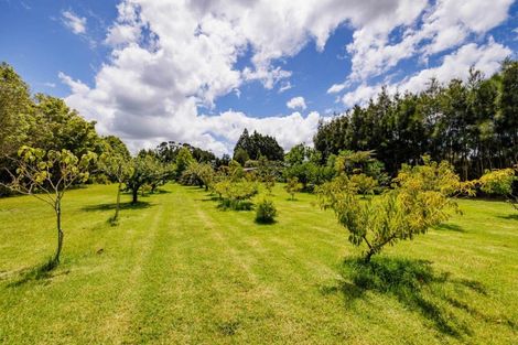 Photo of property in 118 Wiroa Road, Kerikeri, 0293