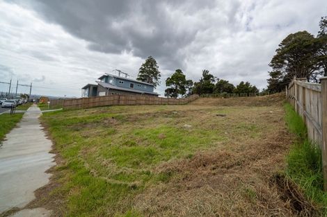 Photo of property in 19 Annmarie Avenue, Totara Park, Auckland, 2019