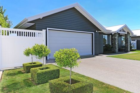 Photo of property in 49 Arataki Road, Havelock North, 4130