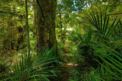 Photo of property in 682a Krippner Road, Puhoi, Silverdale, 0994