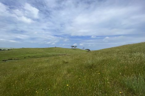 Photo of property in 486 Scottys Camp Road, Parore, Dargaville, 0377