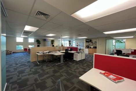 Photo of property in 8a Madeira Lane, Grafton, Auckland, 1023