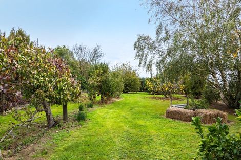 Photo of property in 184 Glenmorven Road, Morison Bush, Greytown, 5794