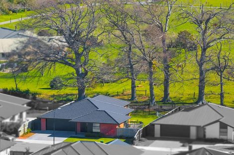 Photo of property in 63 Quinn Crescent, Woodend, 7610